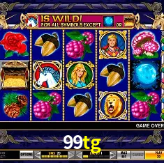 99tg Rio de Janeiro - Bonus Terms